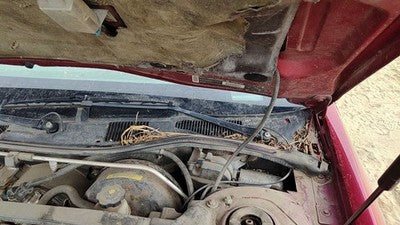 1992-2002 Cadillac Eldorado Driver Left Windshield Wiper Arm Oem Blade Lever