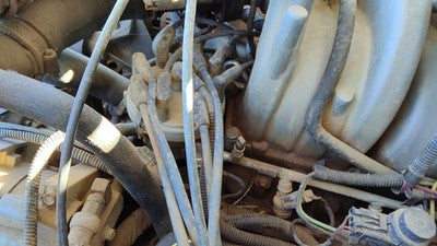 1992-1996 Ford F150 Ignition Distributor Oem 5.0l F2tz12127a