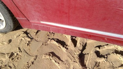 10-12 Lexus Hs250h Hybrid Driver Left Front Moulding From Door Oem Trim Red 3r1