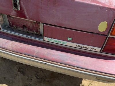 1986-1989 Olds 88 License Plate Trim Surround Panel Oem Tail Trunk Finish