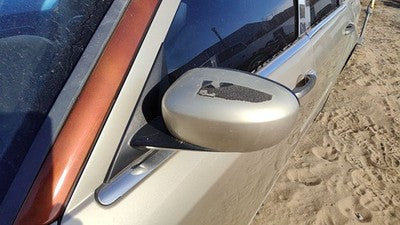 2006-2010 Chrysler 300 Driver Left Side Mirror Door Mounted Oem Gold Pyg