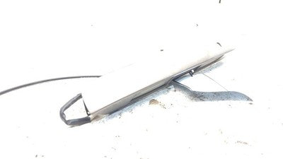 98-03 Toyota Sienna Rear Hatch Lift Gate Handle With Trim Back Sable Pearl 4N7