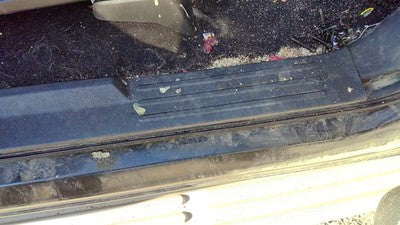 08 Expedition Passenger Right Lower Sill Step Moulding Trim Panel 1W Black/Camel