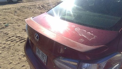 2010-2012 Lexus Hs250h Hybrid Rear Spoiler Back Wing Oem Red 3R1 7609175020C0