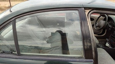 1996-1999 Saturn Sl1 Passenger Right Rear Side Window Door Glass Oem Back