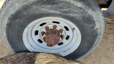 1999-2004 Ford F250 Super Duty 16" Steel Wheel Oem Factory Rim