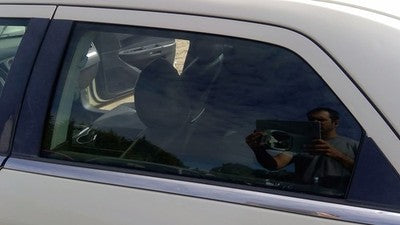 2005-2010 Chrysler 300 Driver Left Rear Side Window Door Glass Oem Back
