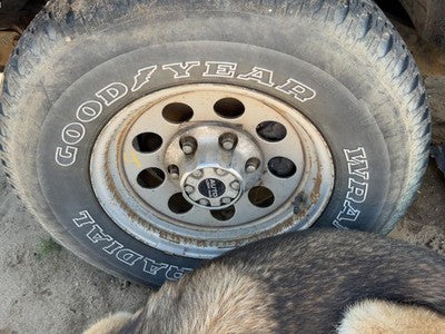 1993-1997 Isuzu Rodeo 15" Steel Wheel Oem Factory Rim