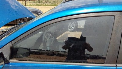 2009-2013 Toyota Corolla Driver Left Front Side Window Door Glass Oem 6810202281