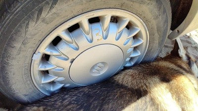 1997-1999 Park Ave Ultra 16' Aluminum Wheel Oem Factory 17 Spoke Rim