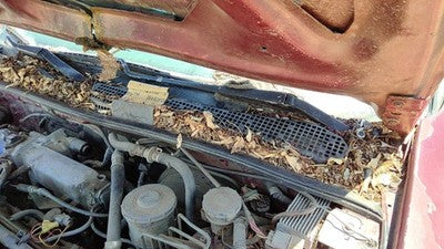 94-97 Honda Accord Driver Left Windshield Wiper Arm Oem Blade Lever 76600Sv4a01