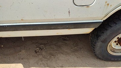 1984 Dodge Ram W250 Driver Left Rear Moulding On Box Front Oem