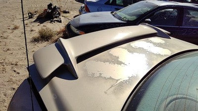 1999-2005 Pontiac Grand Am Rear Spoiler Back Wing Oem 33U Champagne Beige