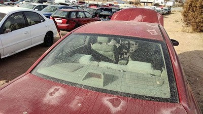 2002-2006 Nissan Altima Back Glass Rear Window Oem 797128J000