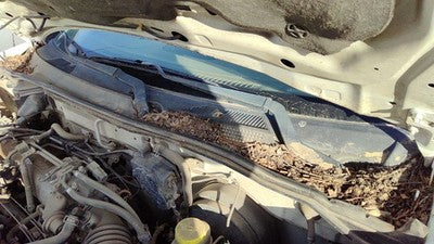 2000-2006 Nissan Sentra Driver Left Windshield Wiper Arm Oem Blade Lever Gxe