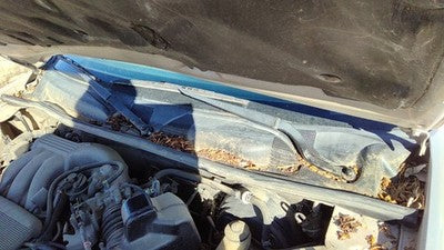 1998 Toyota Camry Windshield Wiper Cowl Vent Trim Panel Oem Cover
