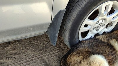 2004 Acura Mdx Passenger Right Moulding From Fender Oem Trim Strip Silver