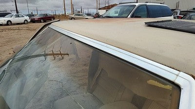 1981 Chevy Malibu Chrome Trim Around Windshield Surround Moulding Front 4 Door
