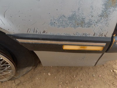 1984 Pontiac Sunbird Passenger Right Moulding From Fender Oem Trim Strip