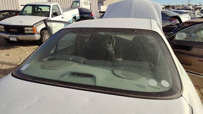 1997-2004 Buick Regal Back Glass Rear Window Oem 10404901