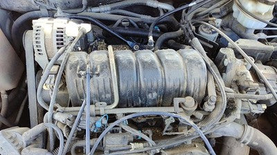 1995-2005 Pontiac Bonneville Upper Intake Manifold Oem 3.8L 89017272
