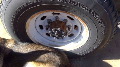 1999-2004 F250 Super Duty 16 Steel Wheel Oem Factory Rim F81z1015aa