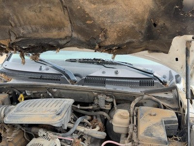 2006 Dodge Dakota Windshield Wiper Cowl Vent Trim Panel Oem Cover