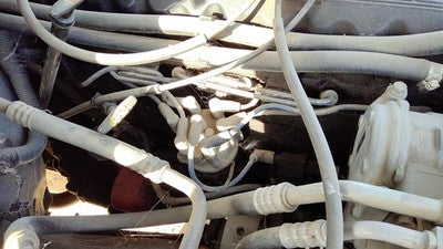1994-1997 Jeep Grand Cherokee Ignition Distributor Oem 4.0L 56027028