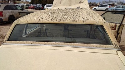 1980-1984 Cadillac Deville Back Glass Rear Window Oem Db06158Gt