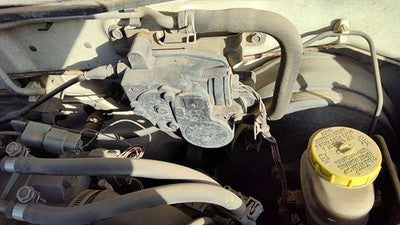 2000-2002 Nissan Sentra Cruise Control Servo Assembly Module With Cable 1.8L Gxe