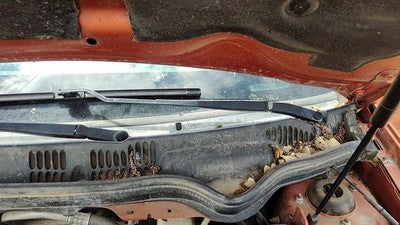 2005-2010 Chevy Cobalt Driver Left Windshield Wiper Arm Oem Blade Lever 22695009