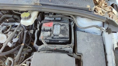 2015-2018 Ford Focus Complete Battery Box Mount Tray With Hold Down Oem 2.0L