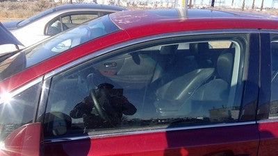 2010-2012 Lexus Hs250h Hybrid Driver Left Front Side Window Door Glass Oem