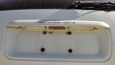 96-99 Town Country License Plate Trim Surround Panel Tail Trunk Pwp Golden White