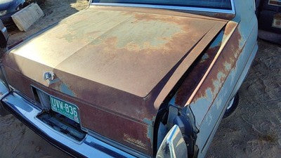 1980 1981 1982 1983 1984 Deville Sedan Rear Trunk Deck Lid Oem 20723421