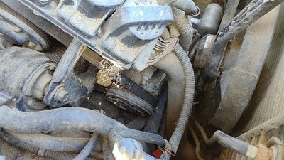 1996-1999 Buick Lesabre Ac Compressor Air Conditioner Pump Assembly Oem 3.8L