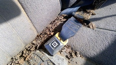 1991 Chevy Caprice Passenger Right Front Seat Belt Buckle Receiver Oem Blue