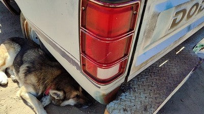 1981-1993 Dodge Ram W150 Driver Left Tail Light Brake Lamp Oem Rear 4163151