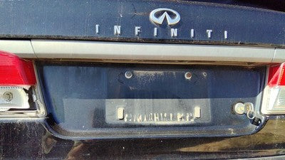 1999-2002 Infiniti G20 License Plate Trim Surround Panel Oem Tail Trunk Finish