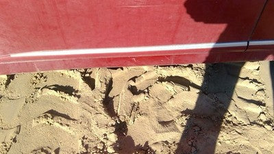 10-12 Lexus Hs250h Hybrid Driver Left Front Moulding From Door Oem Trim Red 3r1