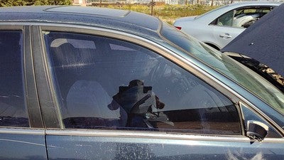 1998-2002 Honda Accord Passenger Right Front Side Window Door Glass Oem 5443452