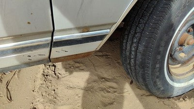 Chevy Caprice Passenger Right Moulding From Fender Oem Trim Strip Back