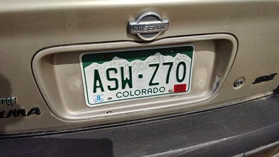 2001 Nissan Maxima License Plate Trim Surround Panel Oem Tail Trunk Finish Gold