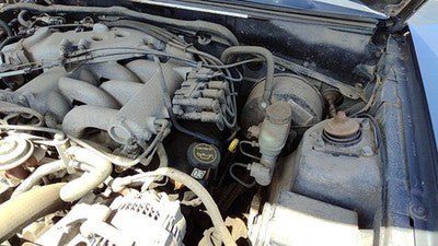 1999-2004 Ford Mustang Driver Left Valve Cover Oem 3.8L 1F2Z6582Aa