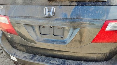 2006 Honda Odyssey License Plate Trim Surround Panel Oem Tail Trunk Finish