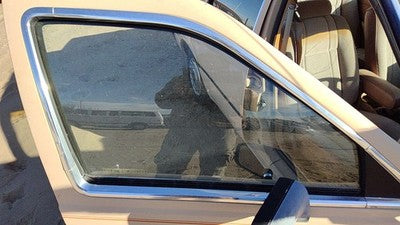 1984-1987 Ford Tempo Passenger Right Front Side Window Door Glass Oem