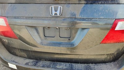 2006 Honda Odyssey License Plate Trim Surround Panel Oem Tail Trunk Finish