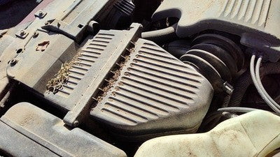 96-99 Lesabre Complete Air Intake Cleaner Filter Box Housing With Tube 3.8L