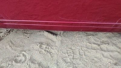 95-02 Eldorado Driver Left Front Lower Moulding From Door Trim Crimson Red 86U