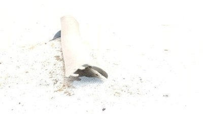 2003 Pt Cruiser Passenger Right A Pillar Trim Windshield Post Panel Taupe Fl